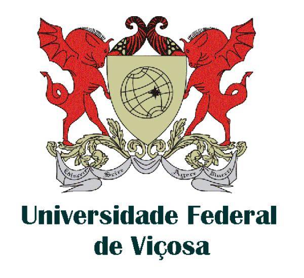 UFV (Universidade Federal de Viçosa)